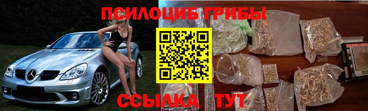 Галлюциногенные грибы мицелий Карпинск