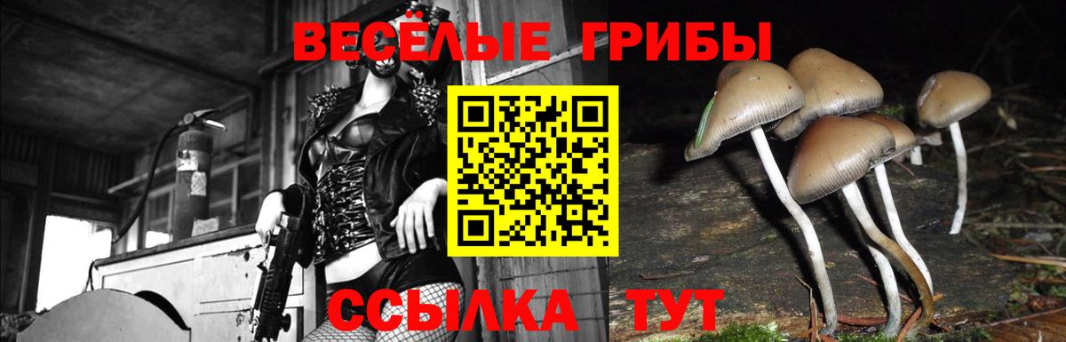 Карпинск  Галлюциногенные грибы GOLDEN TEACHER  Вход с VPN 